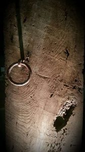 Hyacinthia: particolare, anello in ferro battuto su tavola in noce, datata 1600 circa. - Profondo Blu